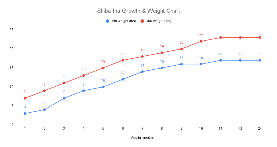 live shiba chart